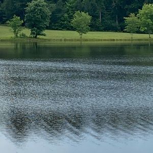 Meet your Posher, Chandra